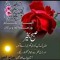 Ali Hamz