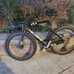 김정후