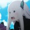 echidna