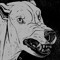 CANIDAE