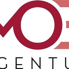 MOE-Agentur