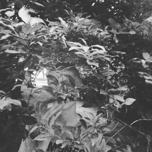 Боудя - Доброе Слово