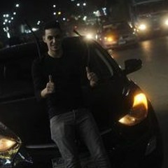 القطه المشمشيه