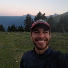 Pedro Rodrigues