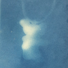 vitconxauxi