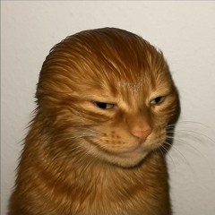 Devmode