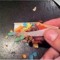 ALLNITE