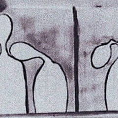 Butterfly Glux Z & Myaing