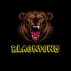 BlackPows
