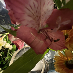 addy😮‍💨💗🐚