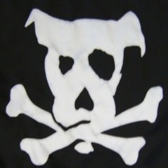 Afternoon Pirate Club