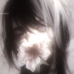 ᴀᴜʀɪ-