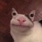Kevin Oen