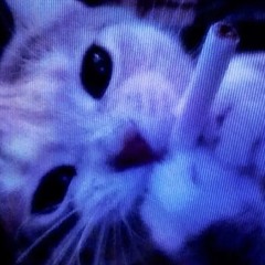 J@$P3R