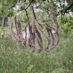 The Modern Knowledge