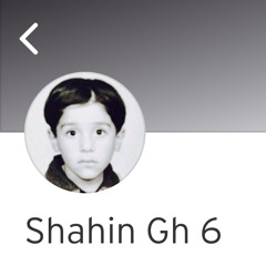Shahin Gh 4