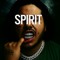 CLR.SPIRIT