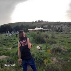 neryalevin