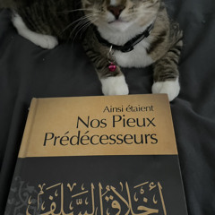 Сура аль-Фаджр  Умар Сильдинский.mp3