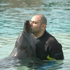 Mohamed Serour