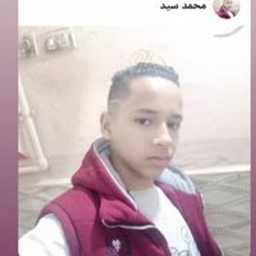 محمد سيد’s avatar