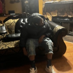 exclusivemook