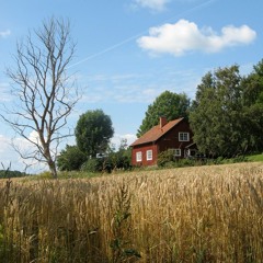 Jim & Tim's Jazz Duo