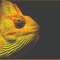 dob _008