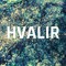 hvalir