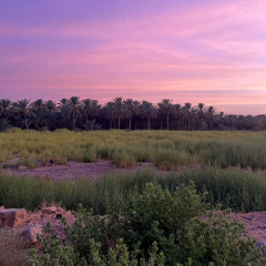 Turki Abdulaziz