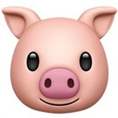 🐷