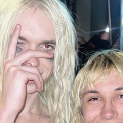 2hollis lvr
