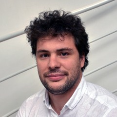 Bertrand Plé