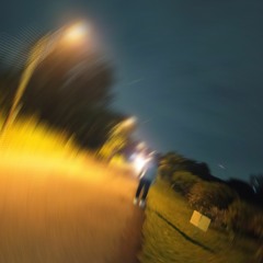 1729