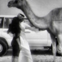 ALKTBI3
