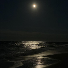 ‎⁨شيلة شغلت نياف وغدا الليل ليلين  اداء نياف تركي⁩.m4a