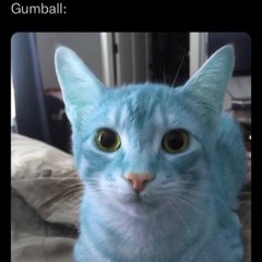 omgjudah