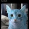 omgjudah