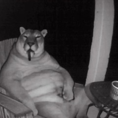 dj.ĐïËM