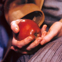 زهراء.