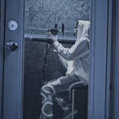 OSD_Rex
