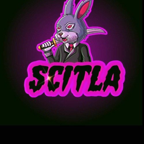 SCITLA 17’s avatar