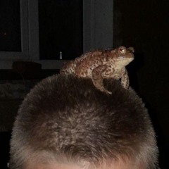 DWARF