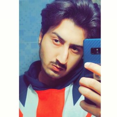 Malik Moeez Ahmad Awan