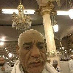 أحمد ابوالريس الخولى