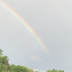 thiccy Trinity❤️