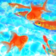 🌐🌐🌐🐠🐠щасьььь.ббюэ 🍃🍃💿💿💿