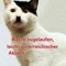 Tombuchner601