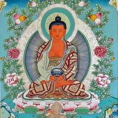 Nima Nima