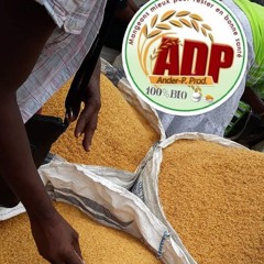 ADP/ANDER-P PROD'Z